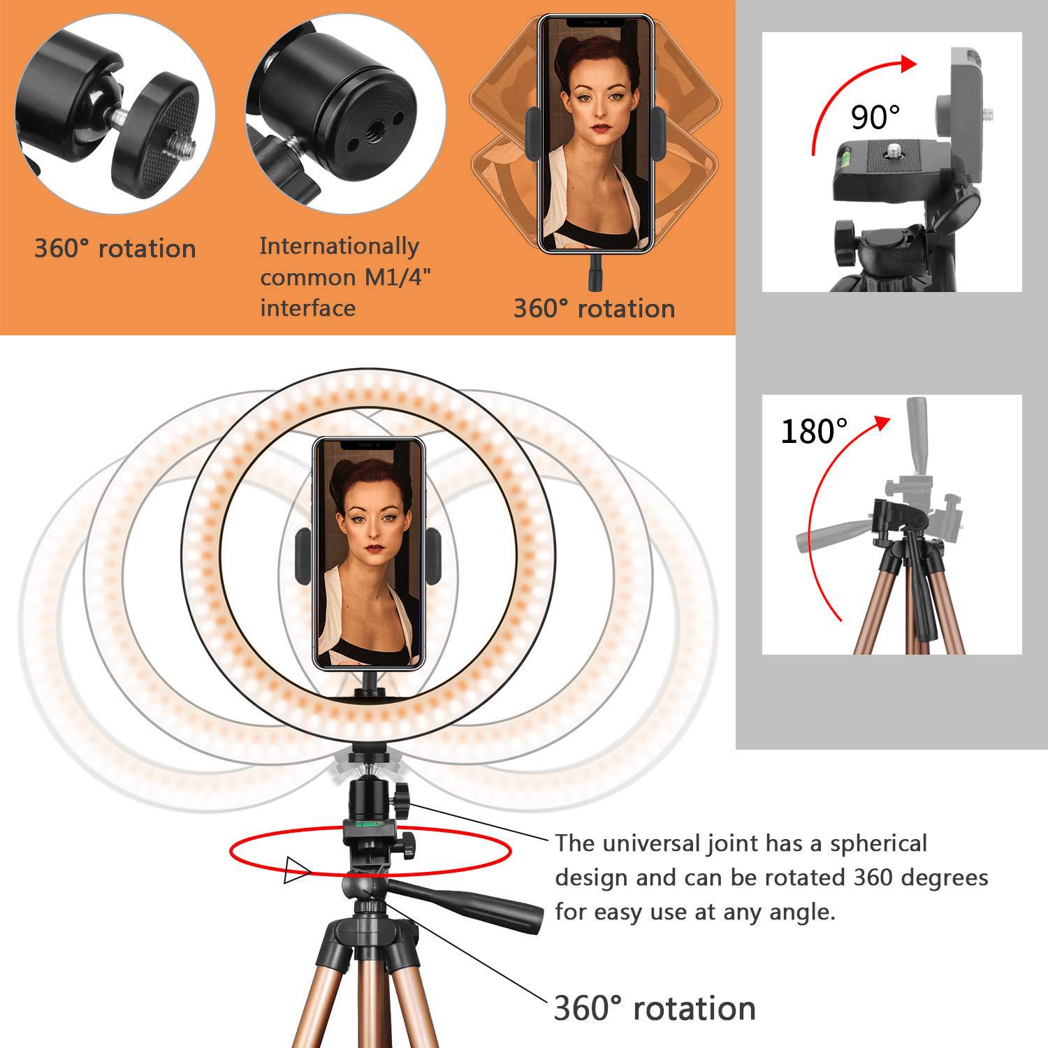 Apple-Compatible Desktop Ring Light with Tripod Fill Light